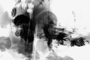 canvas-print-mono-wild