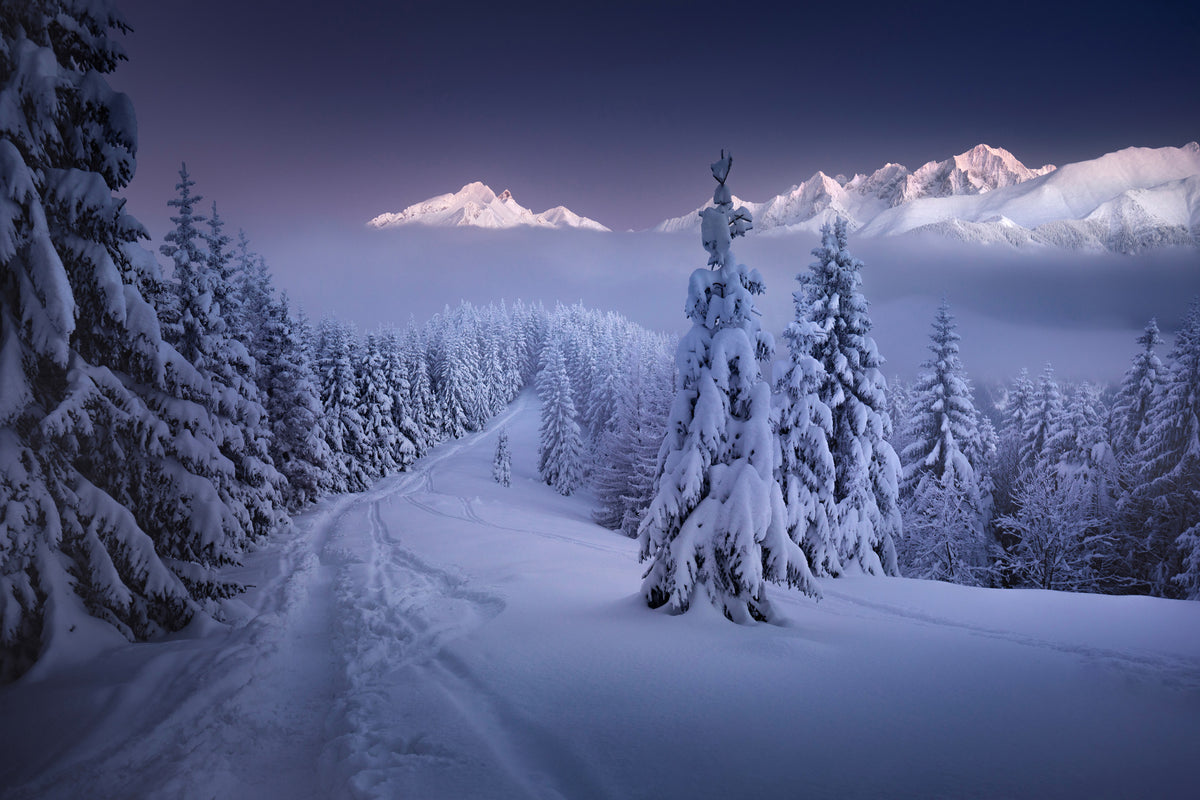 acrylic-print-in-the-winter-x