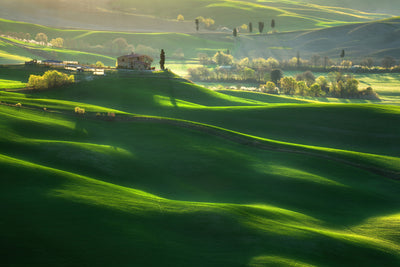 poster-print-green-waves-x