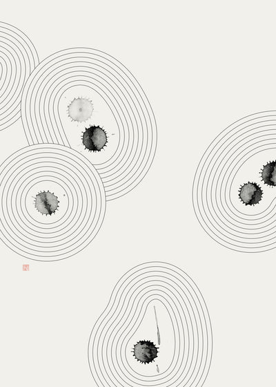 poster-print-accidental-zen-garden-n2