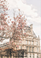 acrylic-print-magnoliaparis