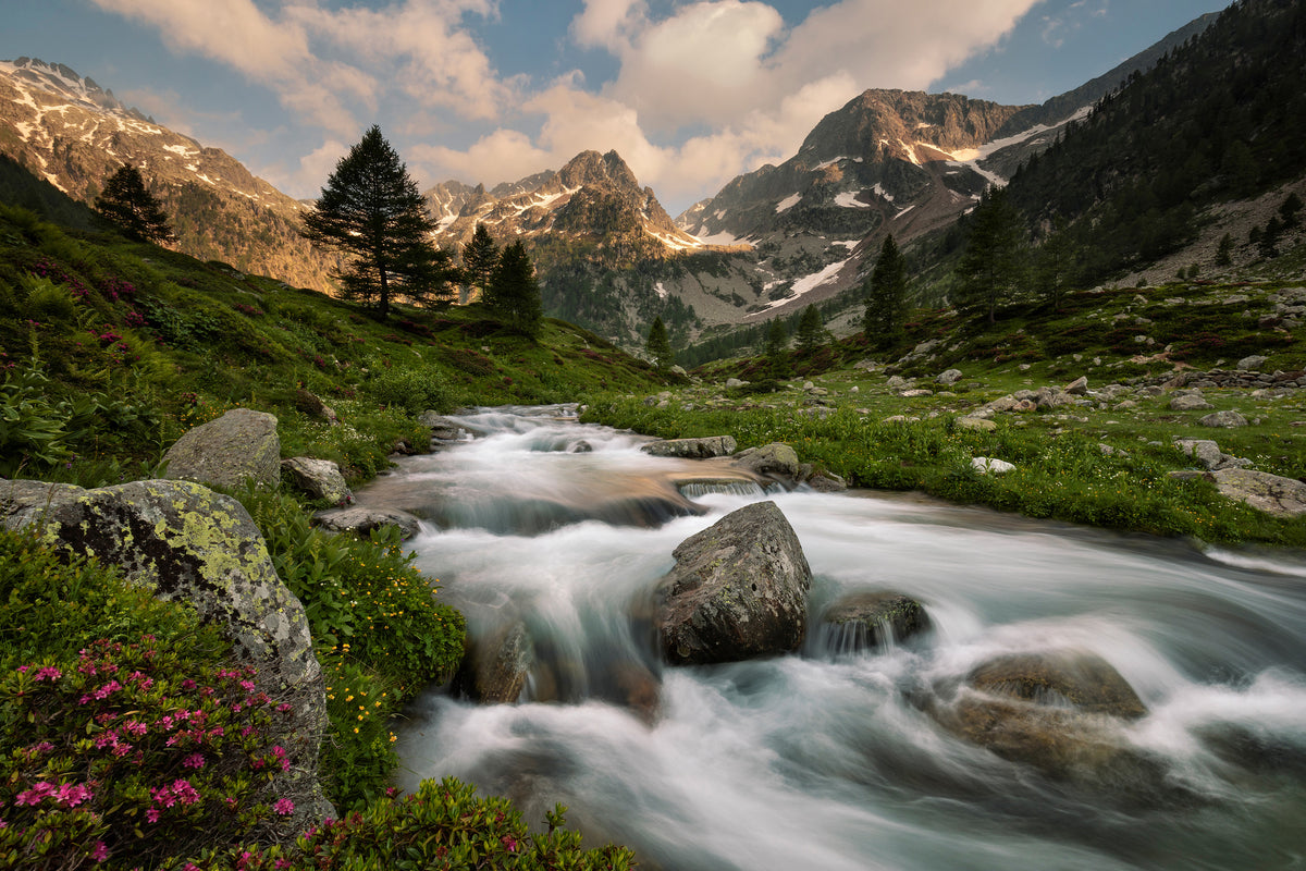acrylic-print-maritime-alps-park-x