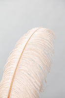 aluminium-print-feather-1