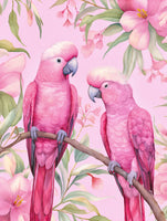 framedposter-print-pink-cockatoo-love