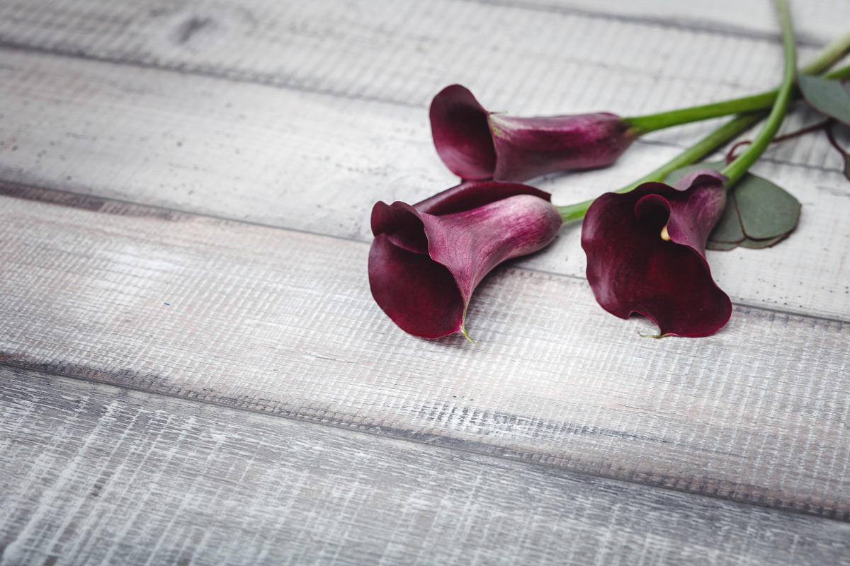 modern-3-piece-canvas-print-love-in-the-delicate-blossoms