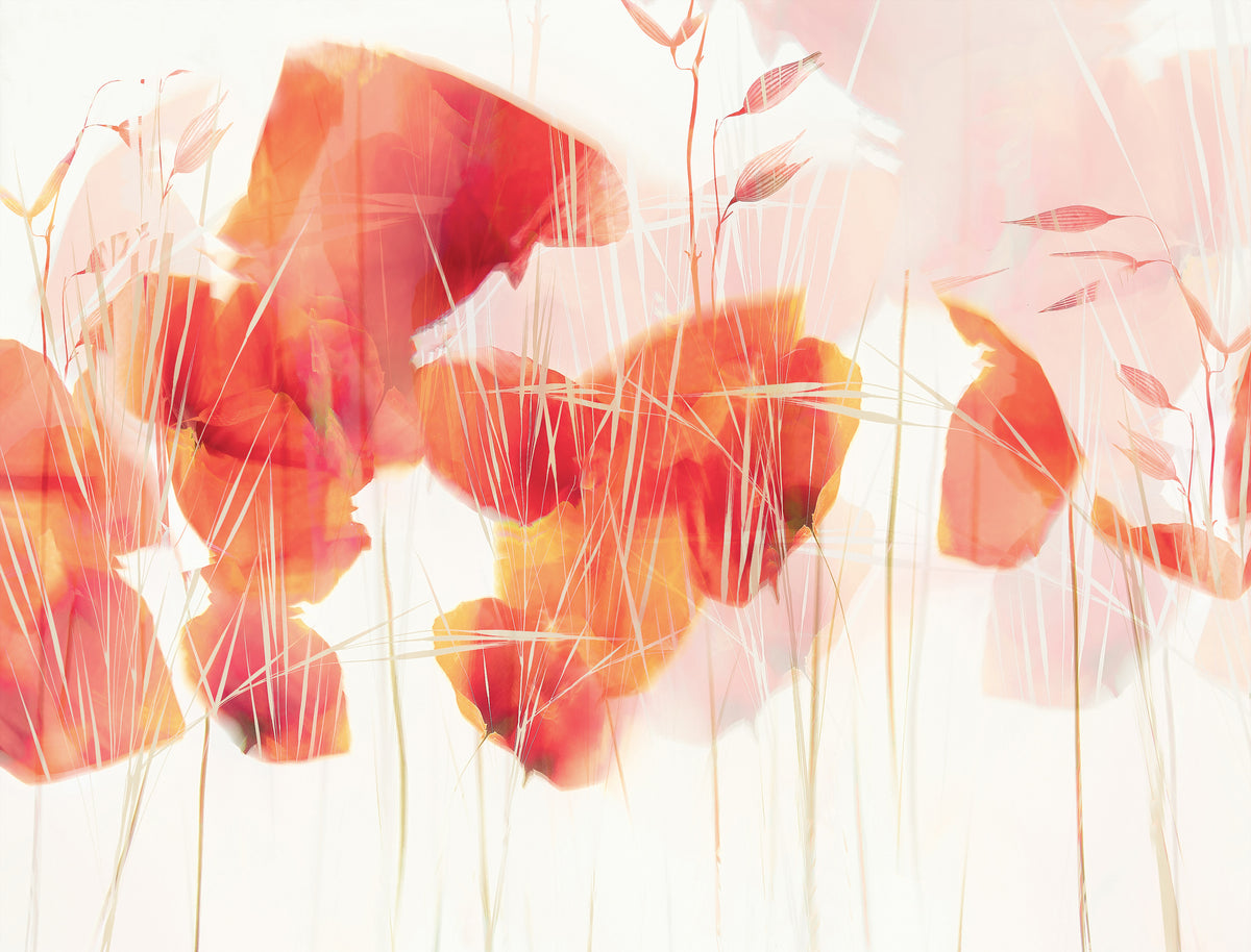 canvas-print-modern-poppies