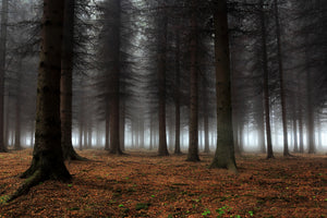 framedcanvas-print-place-of-silence-x