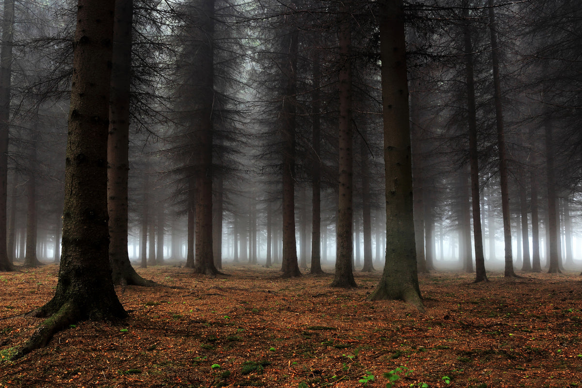 framedcanvas-print-place-of-silence-x