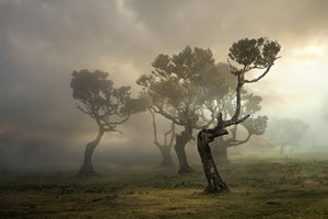 canvas-print-misty-weathers