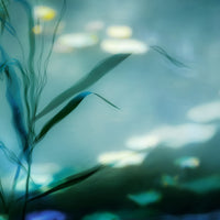 4-piece-acrylic-print-ripples-in-suzhou