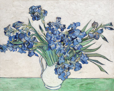 poster-print-vincent-van-goghs-irises-1890