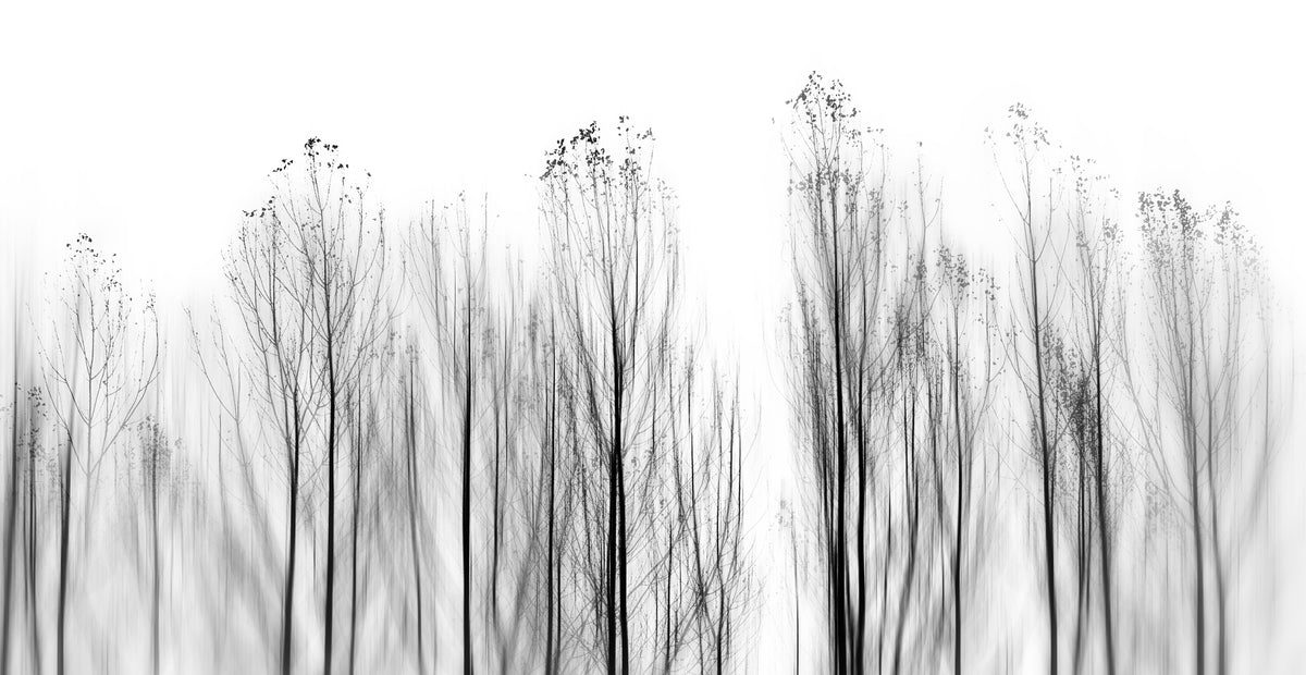 aluminium-print-no-grounds
