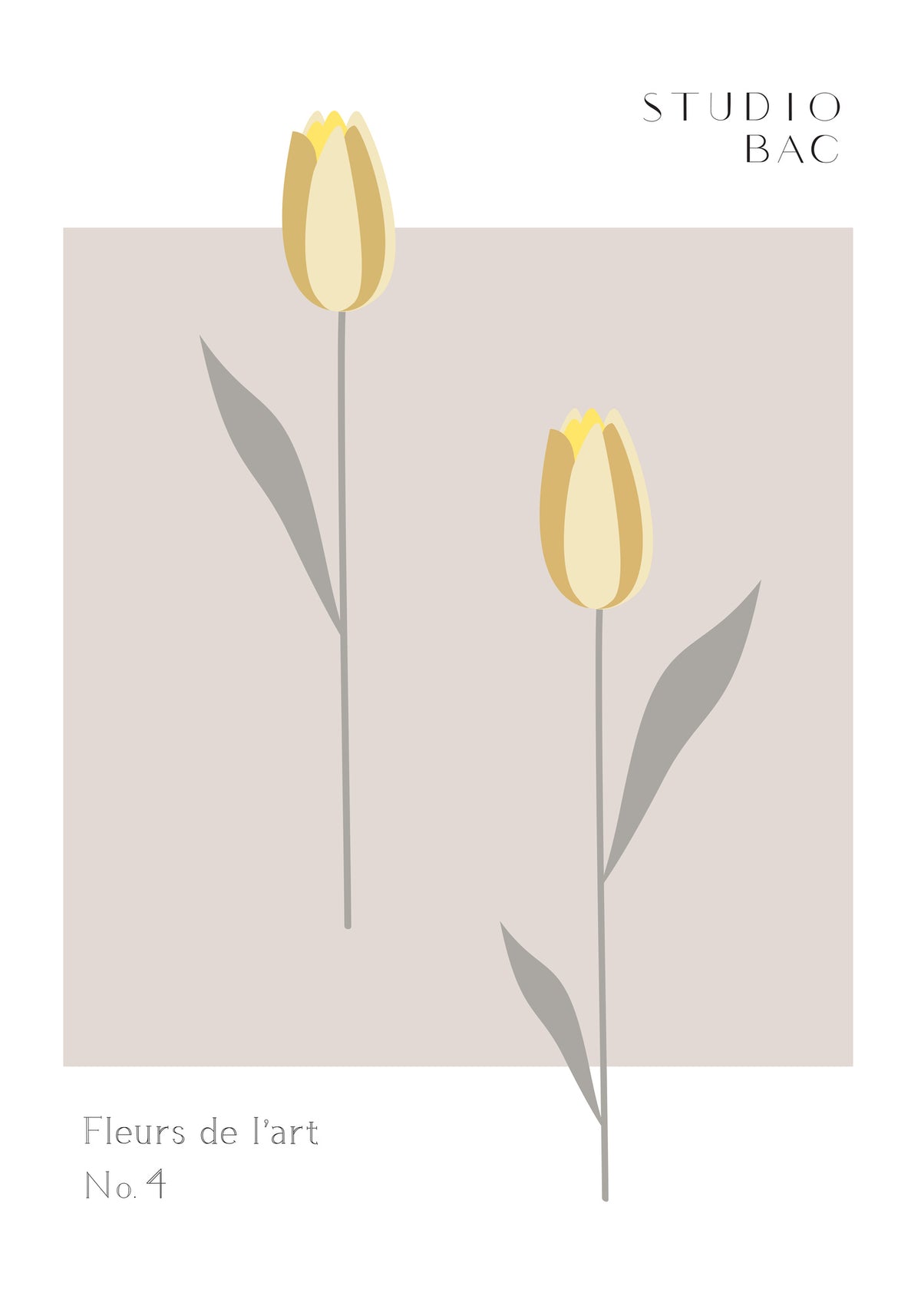 aluminium-print-tulips-studio-bac