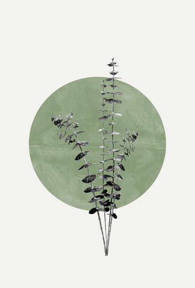 poster-print-nature039s-echo