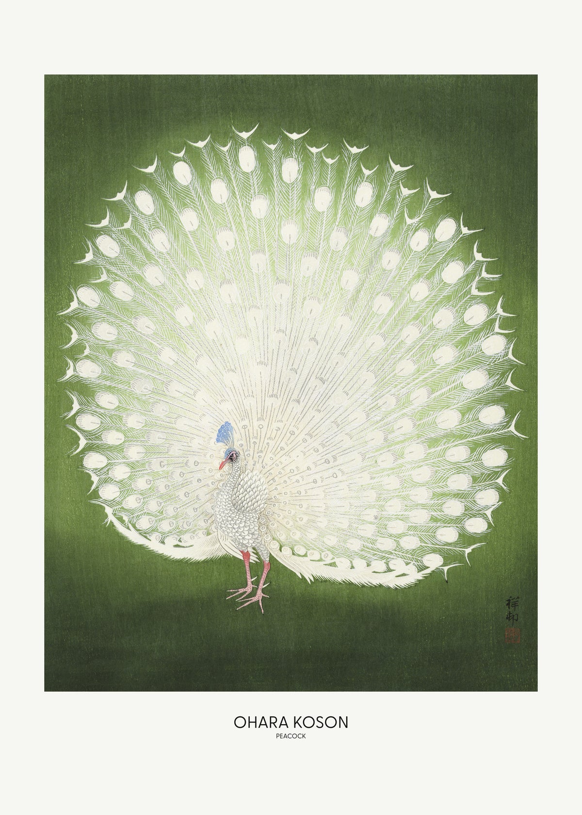 framedposter-print-peacock-wide