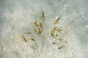 canvas-print-wintertime-x
