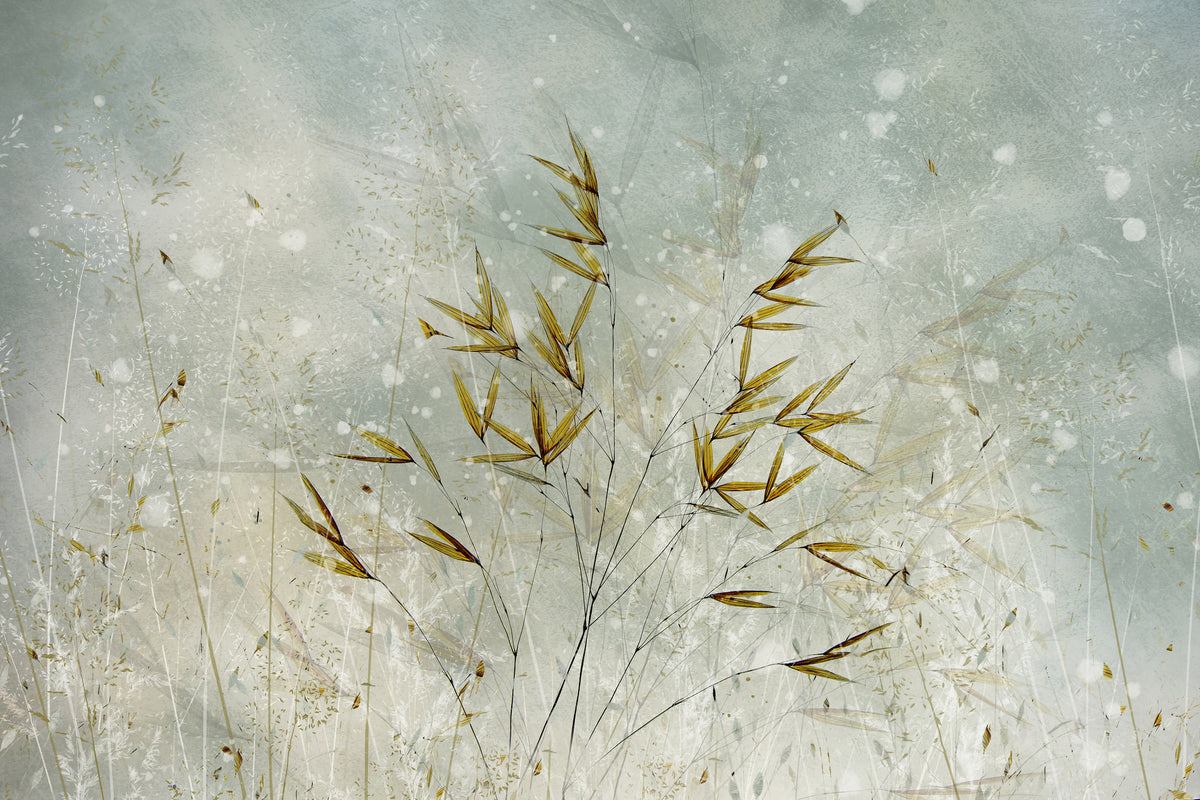 canvas-print-wintertime-x