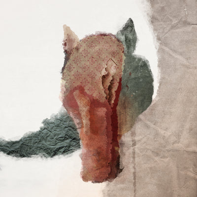 poster-print-abstract-horsehead