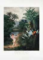 framedcanvas-print-cupid-inspiring-plants-with-love-from-the-temple-of-flora-1807