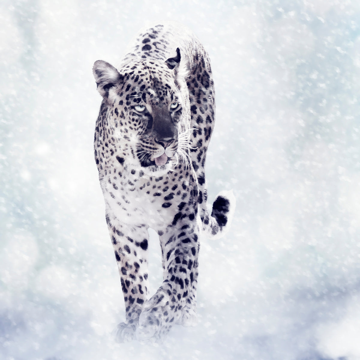 9-piece-aluminium-print-photo-wallaper-the-leopard