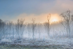 modern-3-piece-acrylic-print-a-touch-of-winter