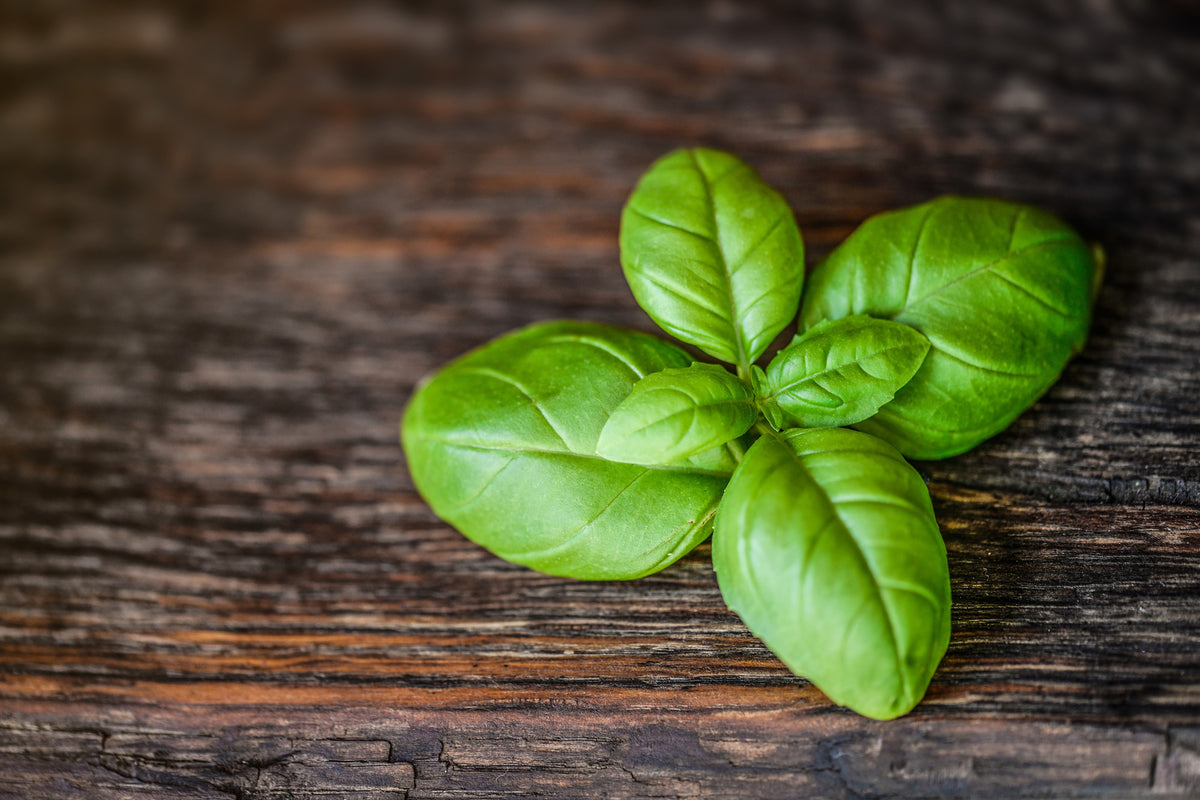 modern-3-piece-acrylic-print-basil-leaf-in-xxl