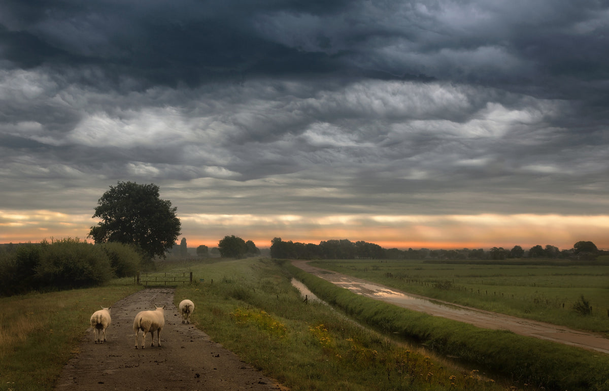 3-piece-canvas-print-waving-clouds
