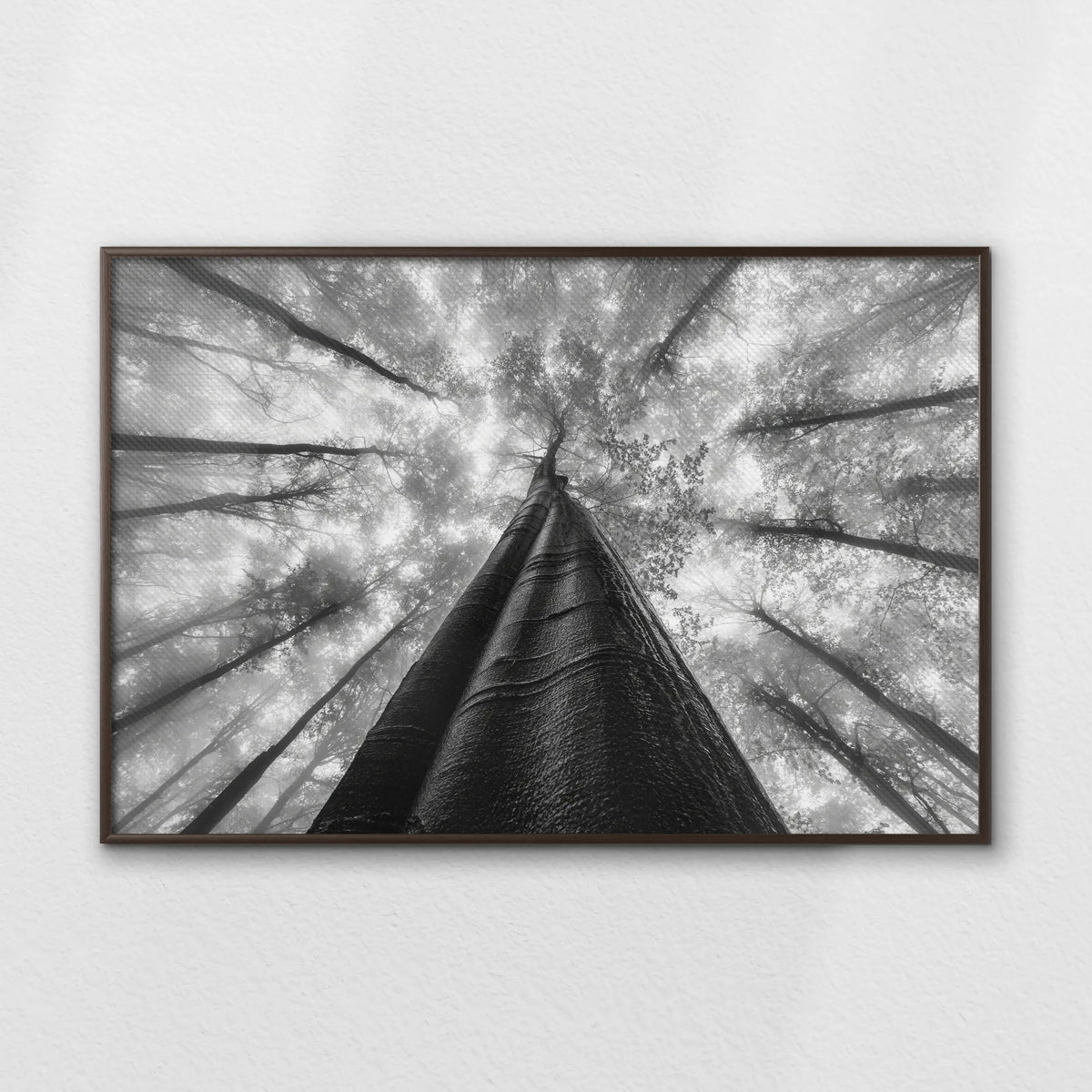LWN120W080