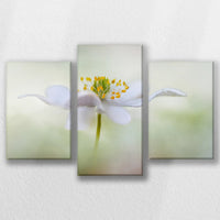 LW-060T040