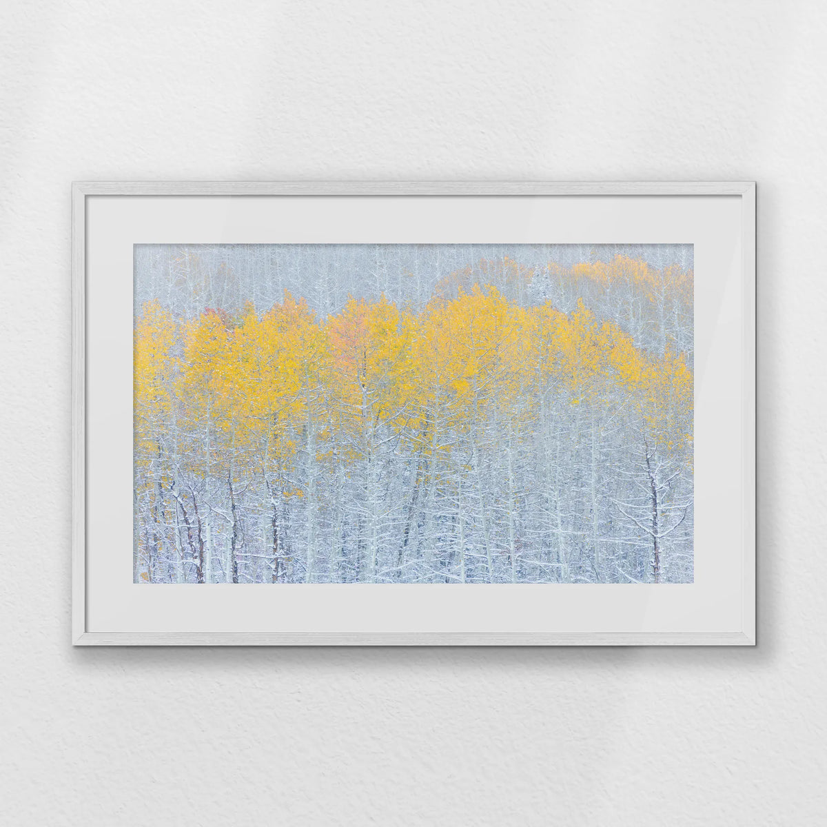 PWP093W062