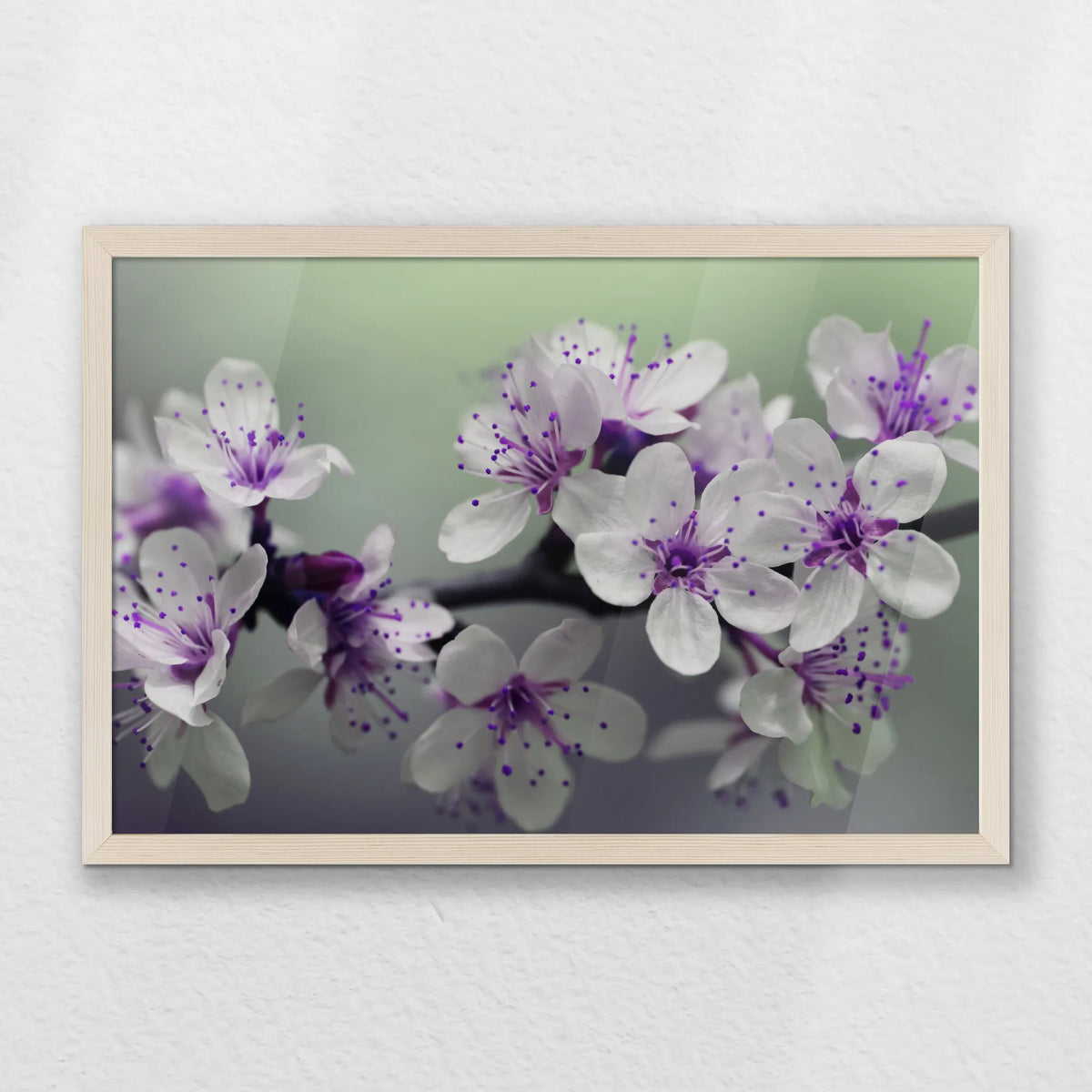 PN-060W040