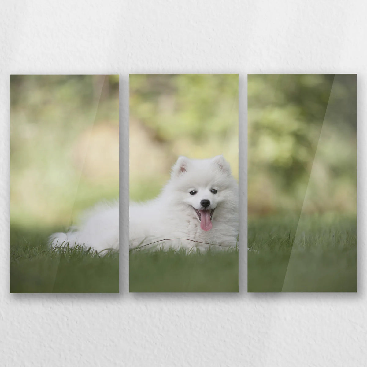 AC-060R040