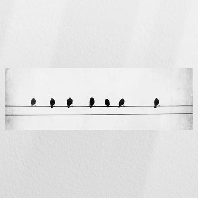 PO-060P020