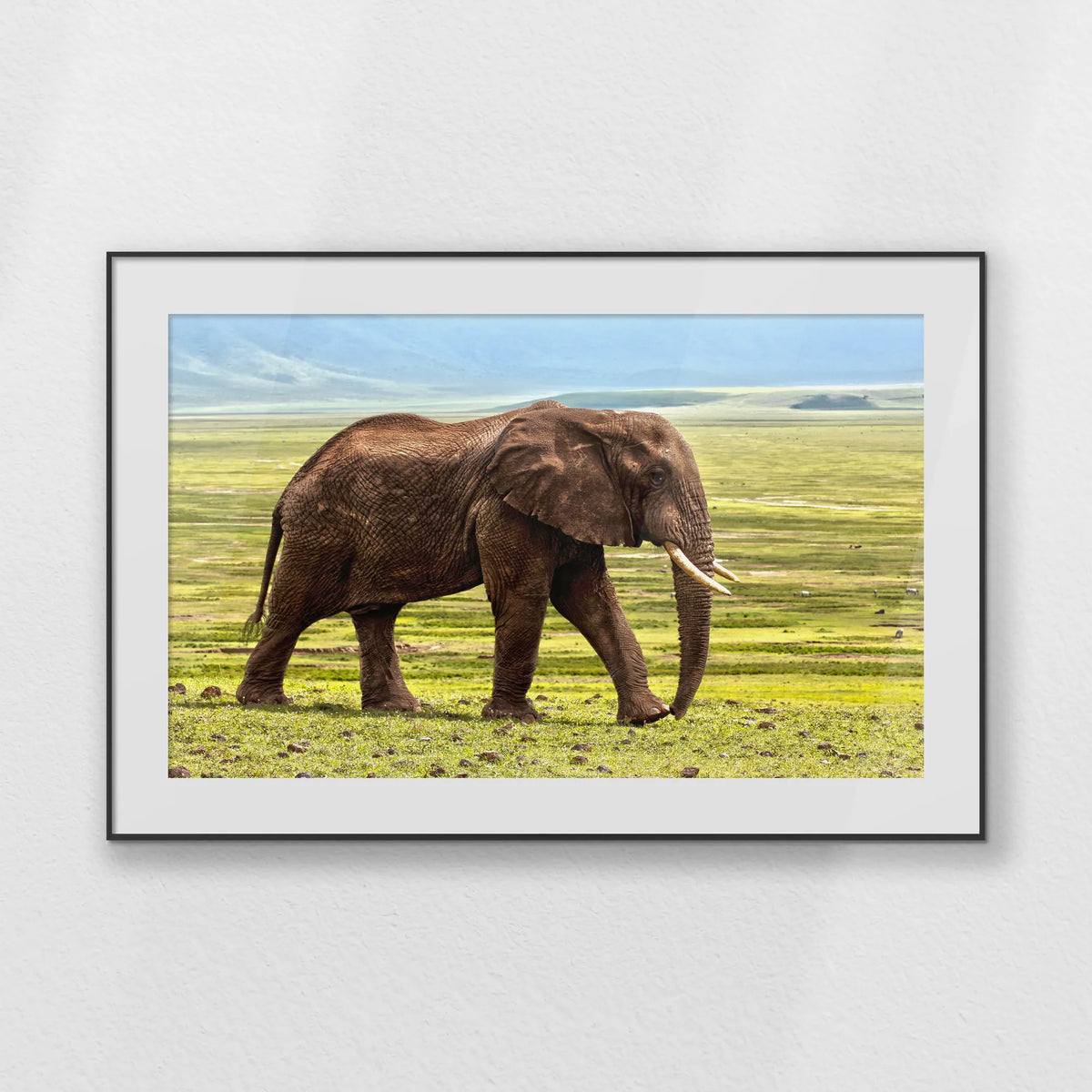 PBP120W080