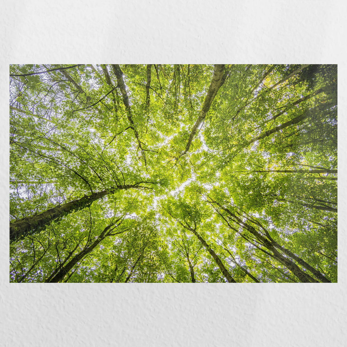 PO-045W030