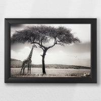 LWB030W020