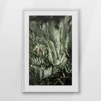 PWP070W100