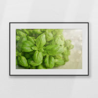 PBP093W062