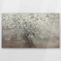 AC-050W030