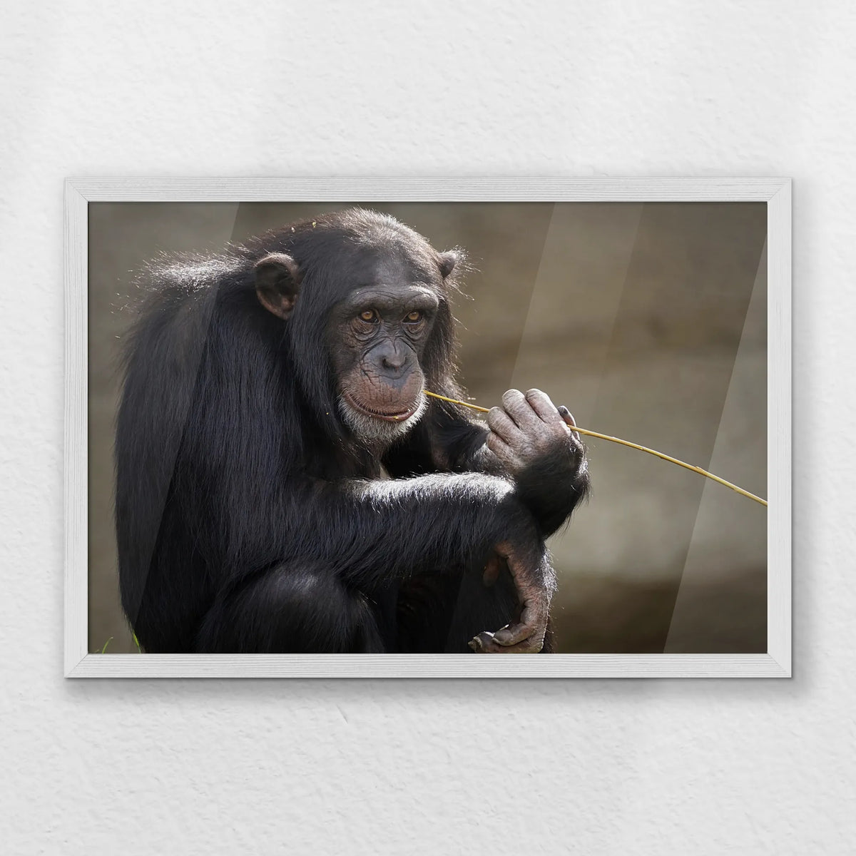 PW-060W040