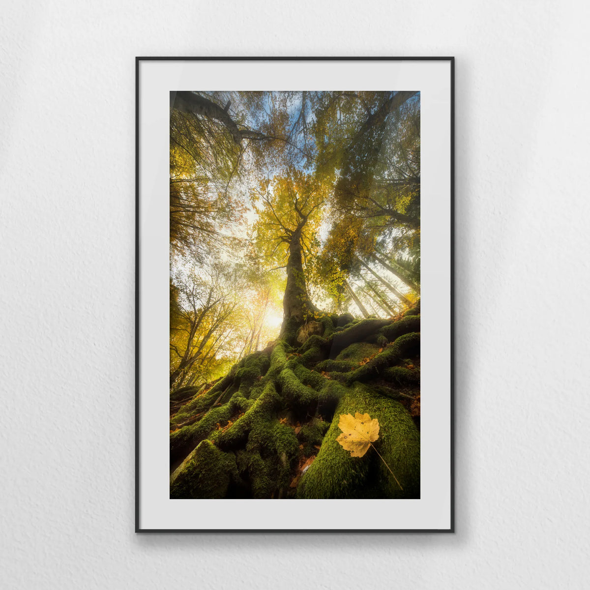 PBP070W100