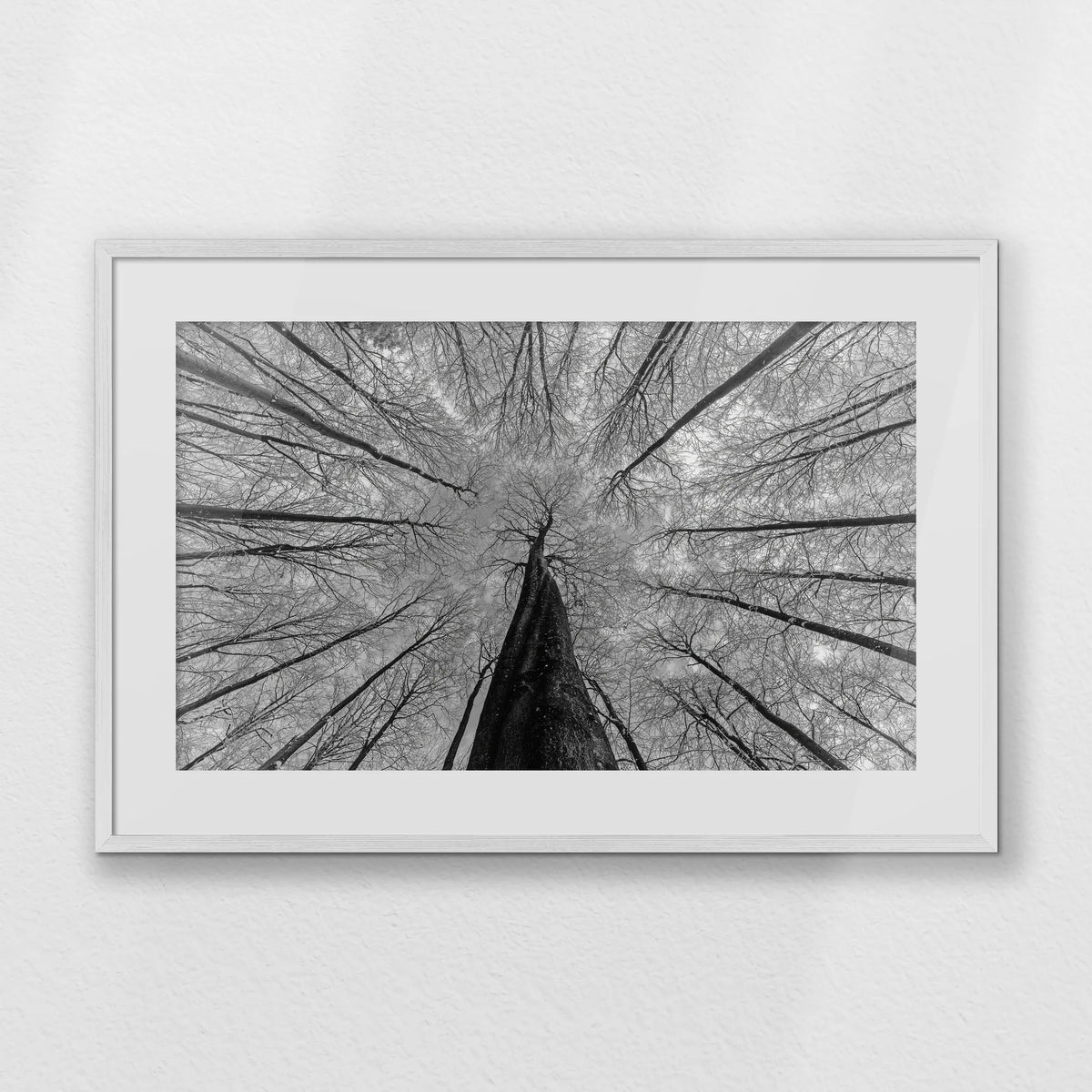 PWP093W062