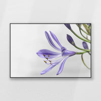 PB-120W080