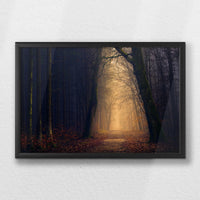 LWB060W040