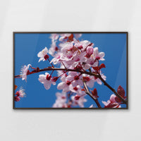 LWN120W080