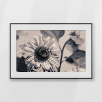 PBP093W062