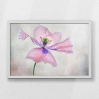 LWW060W040