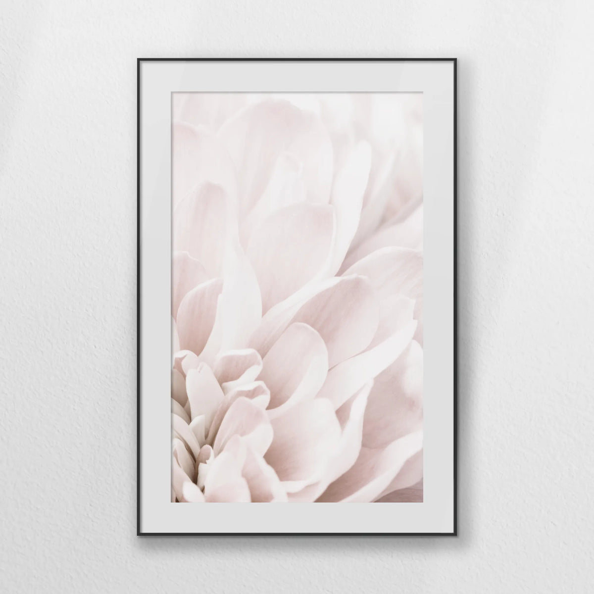PBP080W120