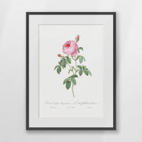 PKP060W080