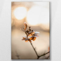 LW-050W075